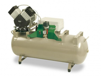 DK50 2V/110 (140 л/мин., 110 л., без шкафа) Безмаслянный компрессор., EKOM ( Словакия)